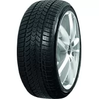 205/55 R17 FRIGO HP 2 95V XL