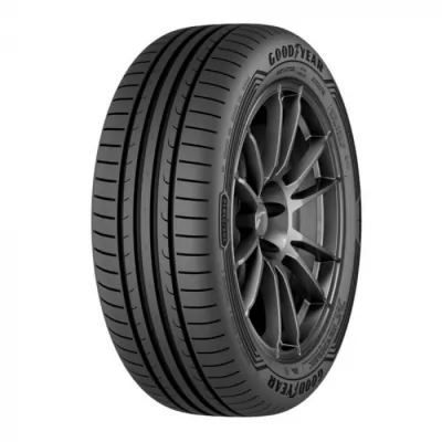 205/55 R16 EAGLE SPORT 2 91V